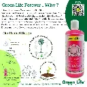 Green Life Forever Herbal N Silky Dishwash Gel Damask Rose 400ml makes 1Ltr, Natural & Organic, Plant Based, Non-Toxic, Eco-Friendly, Baby & Pet Safe, greenlife6