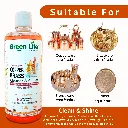 Green Life Forever Copper Brass Cleaner & Shiner Gel  400ml Plant Based, Non-Toxic Liquid  Instantly Removes Tarnish  Suitable for Tamba, Pital & Bronze Drinkware, Cookware, Idols & Diyas (3).webp