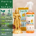 Green Life Forever Copper Brass Cleaner Conentrate (10).webp