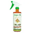 Copper Cleaner & Shiner